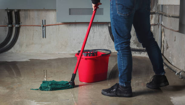Best Flooded house restoration  in Anacortes, WA