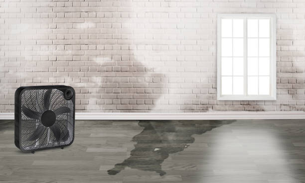 Best 24/7 water damage repair  in Anacortes, WA