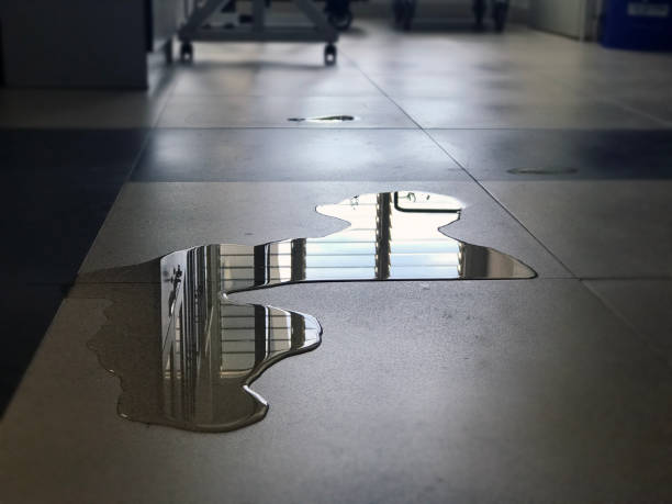 Best Water damage restoration near me  in Anacortes, WA
