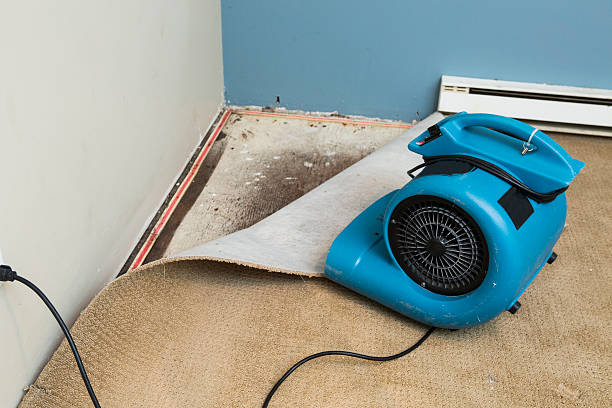 Best Basement water damage restoration  in Anacortes, WA